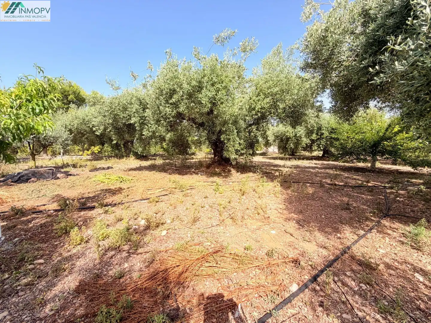 Houses for sale in Vinaròs  with Private garden and Terrace