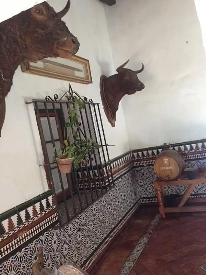 Casa en venda a Real, imagen 4