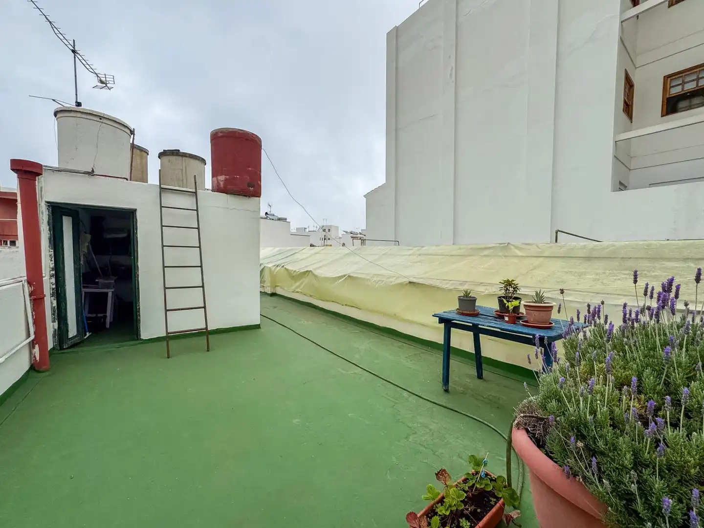 Haus mit Terrasse zum Verkauf in SAN AGUSTIN, imagen 72