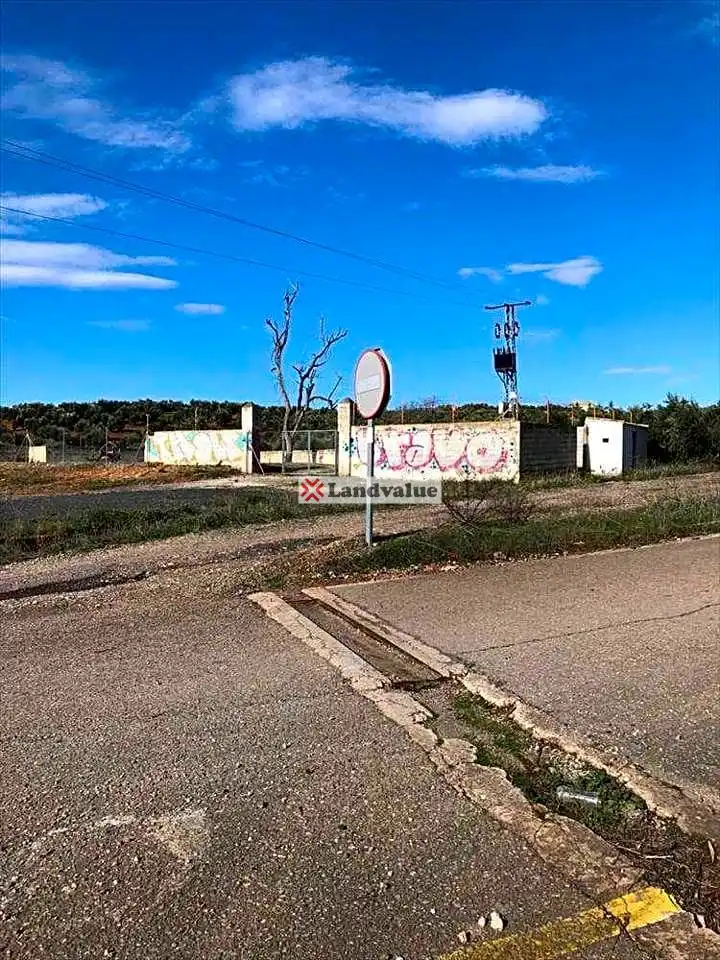 Terreni e lotti in vendita a DS DISEMINADO  Polígono 10 Parcela 141  - VISTA ALEGRE., imagen 6