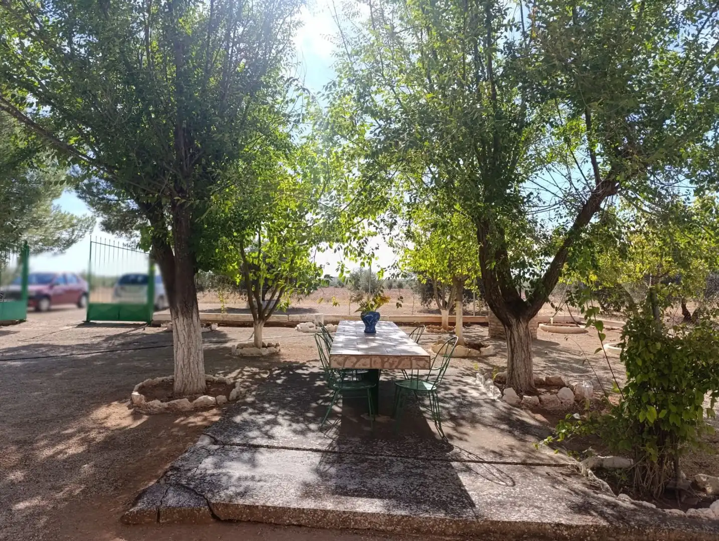 Casa rústica en venda a Valdepeñas, imagen 25