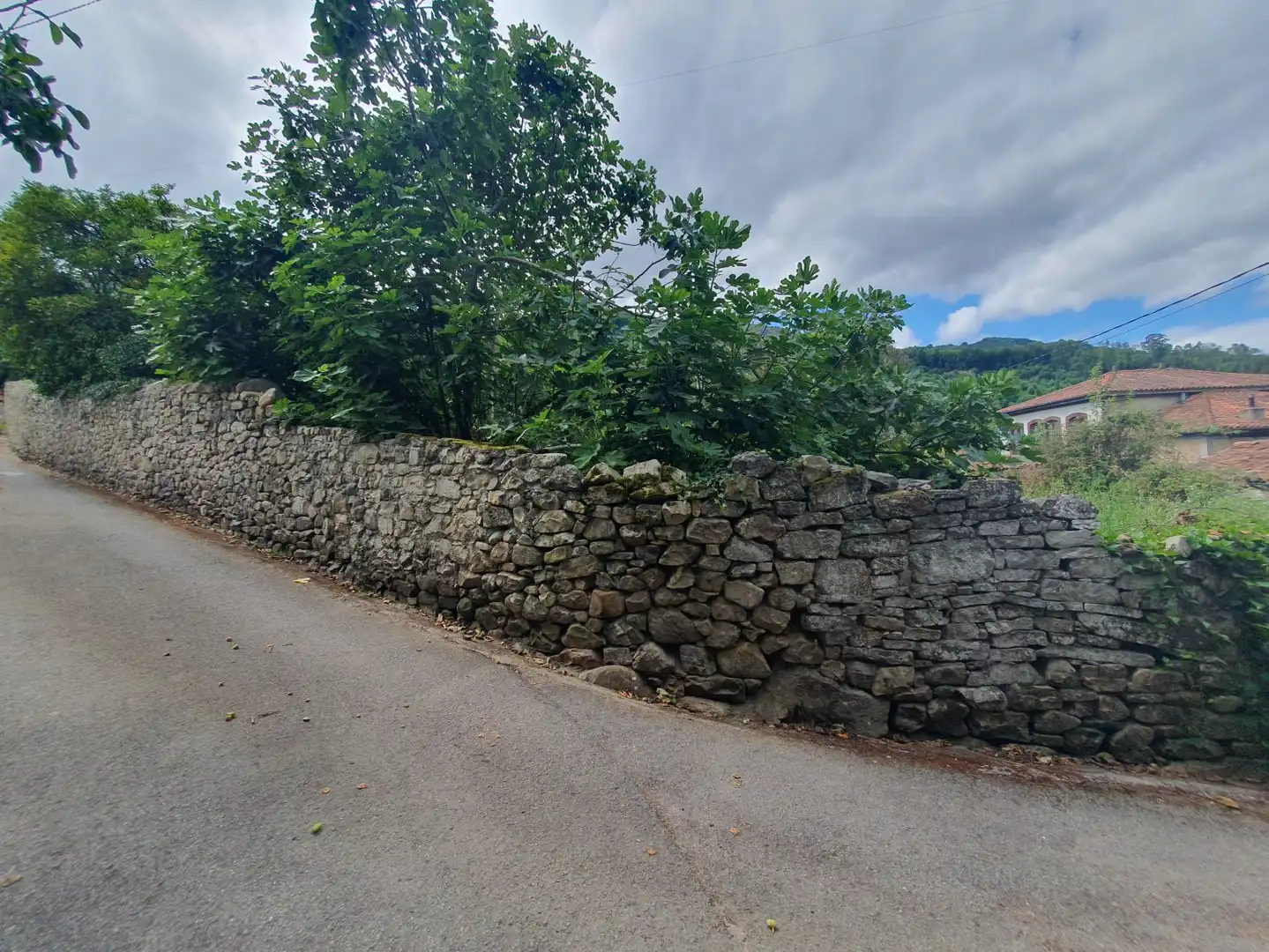Terrenys i solars en venda a Belmonte de Miranda, imagen 9