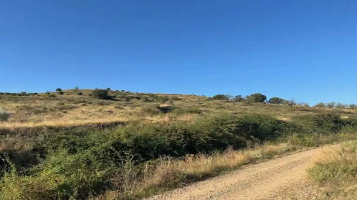 Residencial en venta en Alcanadre
