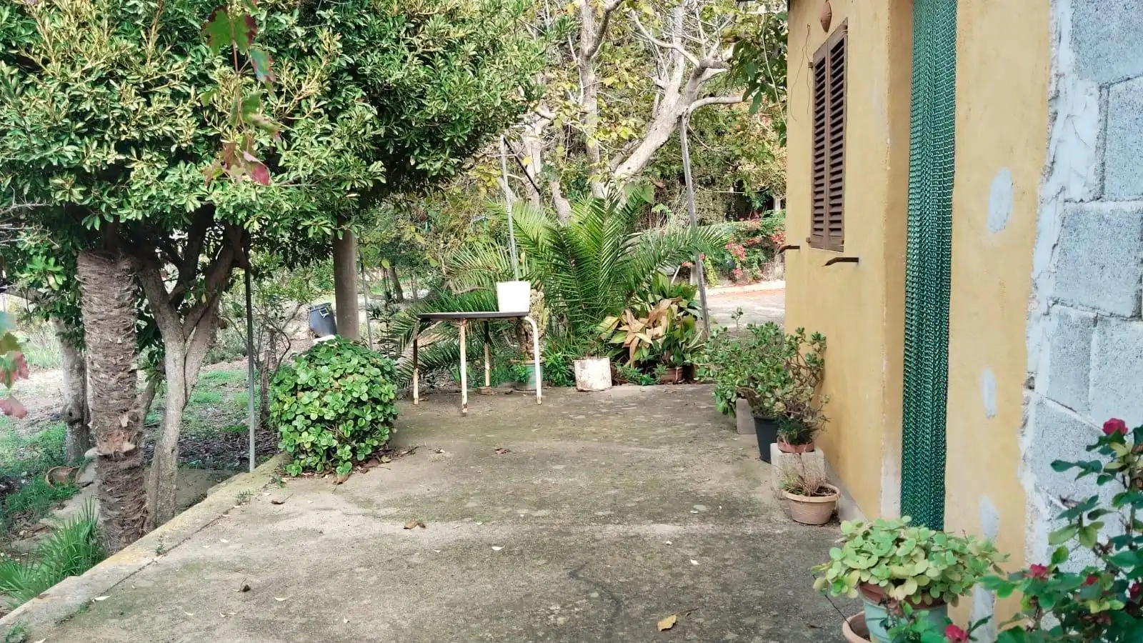 Jardín de Casa o chalet en venta en Felanitx