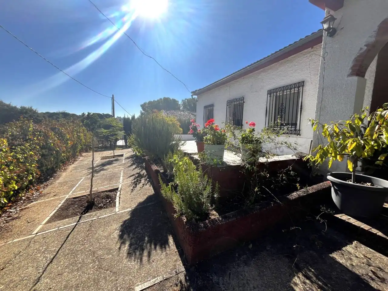 Vista exterior de Casa o chalet en venta en Valverde del Camino con Jardín privado, Terraza y Amueblado