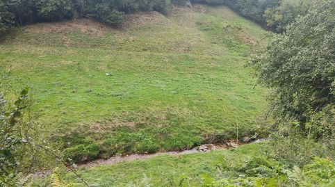 Finca en a Ribeira Sacra, immagine 4