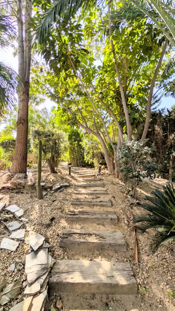 Jardín de Casa o chalet en venta en Elche / Elx con Aire acondicionado, Calefacción y Jardín privado