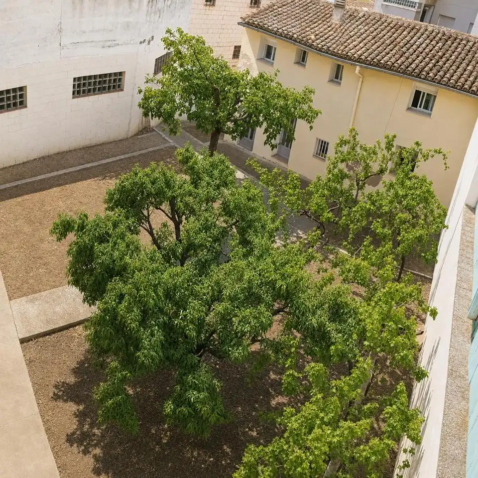 Garten von Wohnung zur Miete in Calatayud mit Heizung und Möbliert