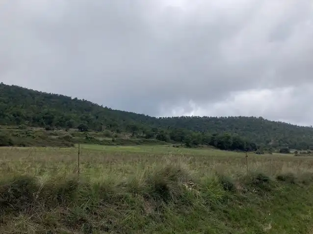 Terrain rustique à vendre à Passeig de la Mussara, imagen 11
