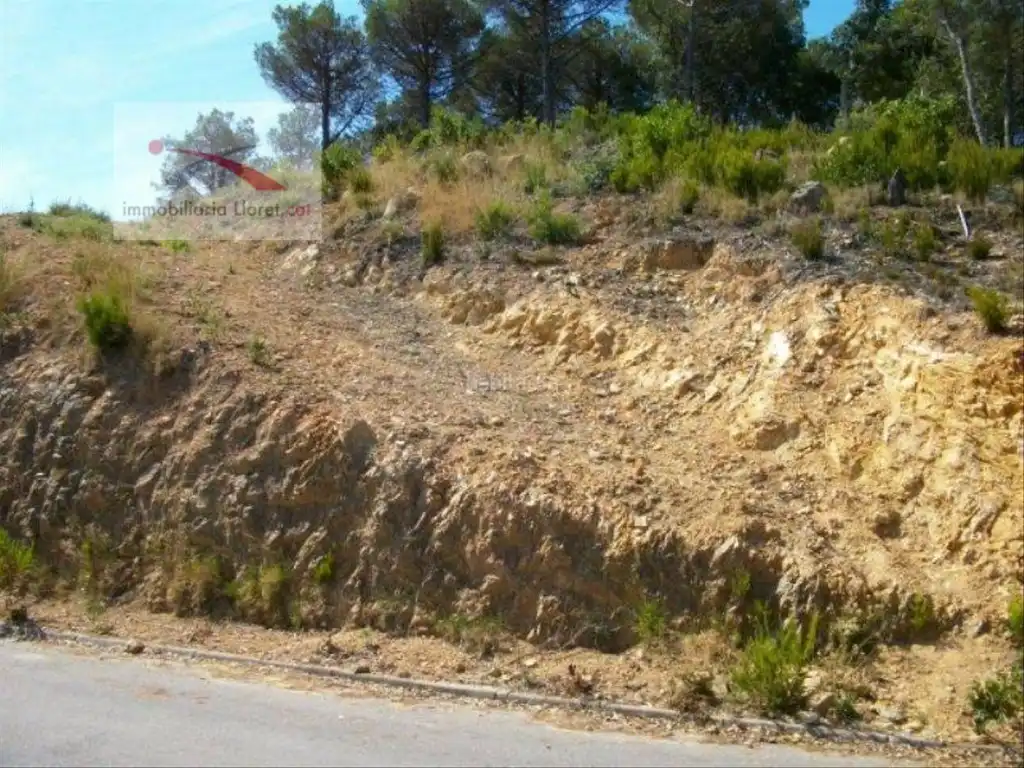 Terreno residencial en venta en Serra Brava, imagen 2