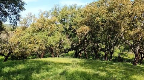 Photo 3 of Land for sale in N/a, -1, Higuera de la Sierra, Huelva