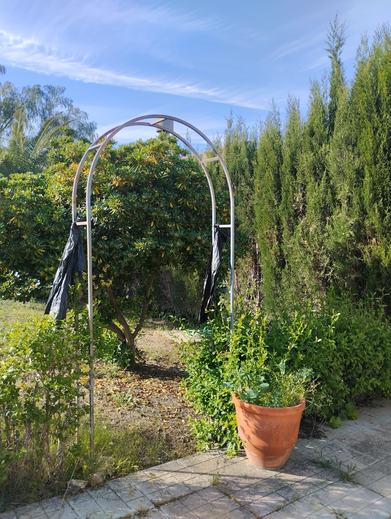 Garden of House or chalet for sale in  Jaén Capital  with Private garden, Storage room and Swimming Pool