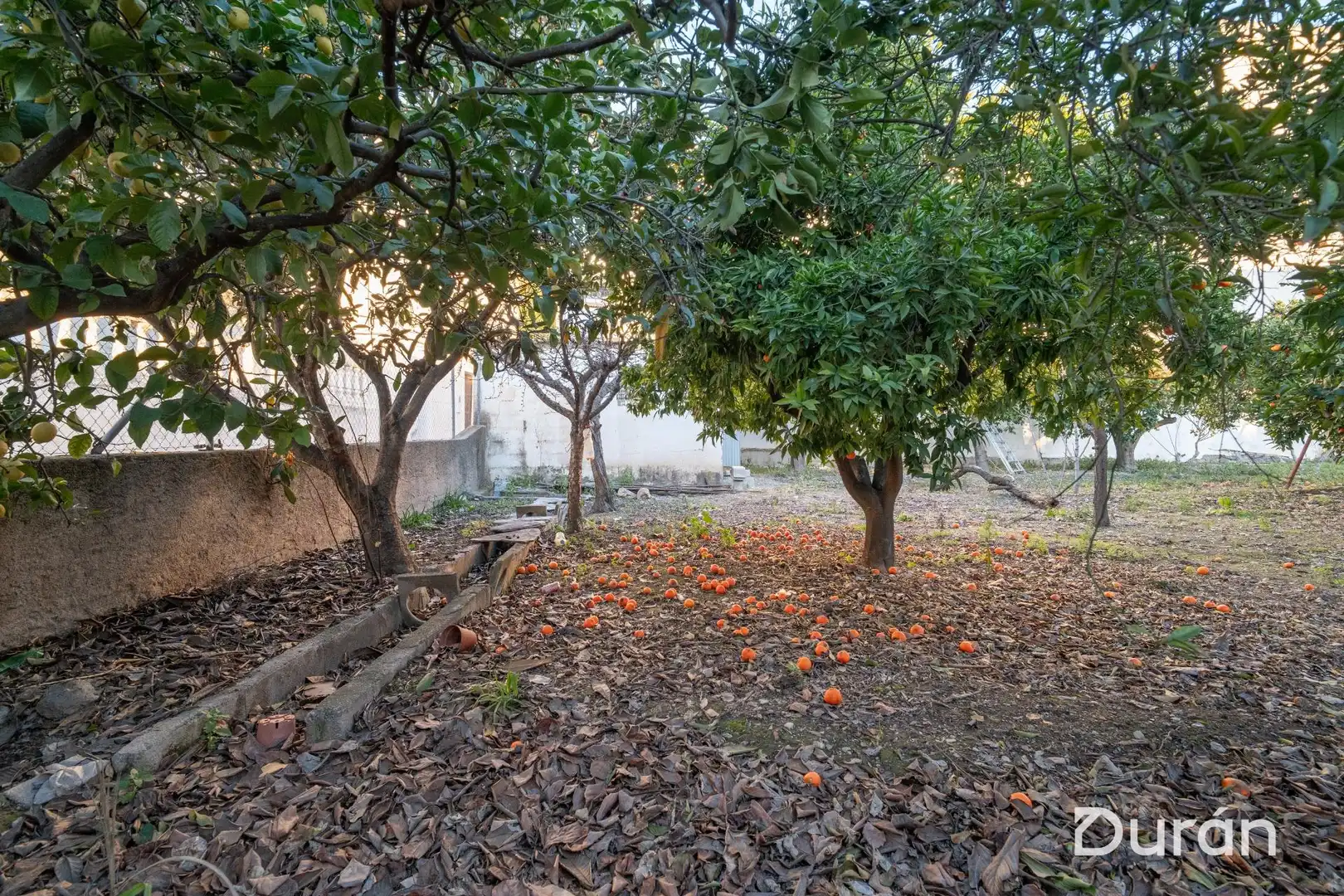 Finca rústica en venda en Alcolea amb Aire condicionat, Jardí privat i Traster