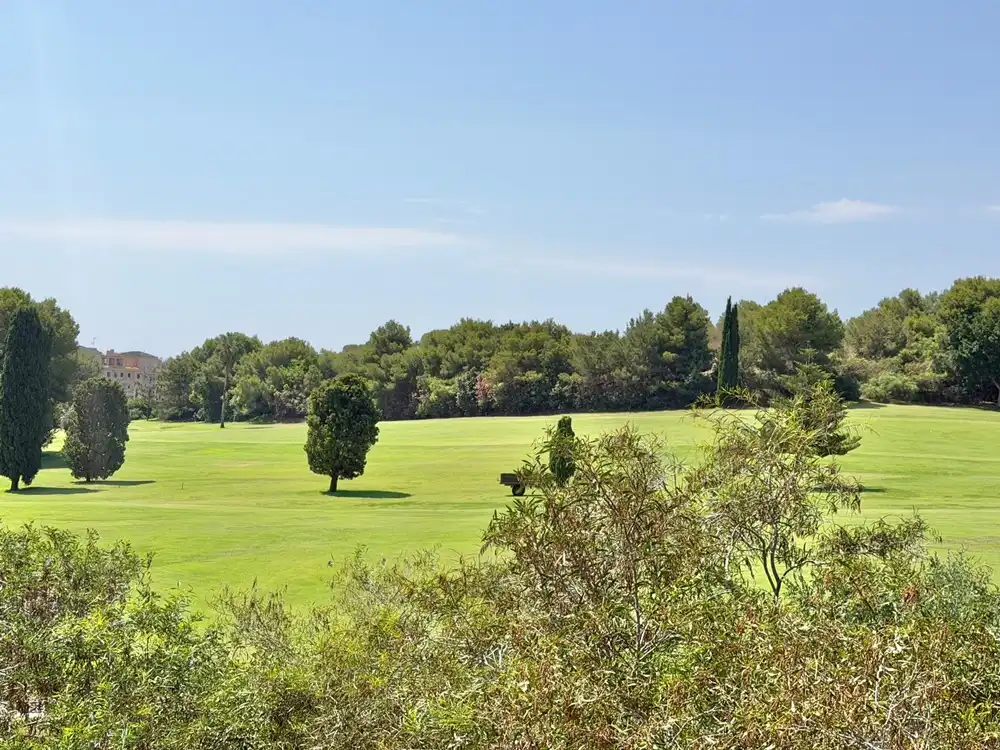 Villa zum Verkauf in Lomas de Campoamor, imagen 39