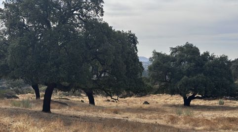 Foto 3 de Finca rústica en venda a Lugar la Mula, Valencia de Alcántara, Cáceres