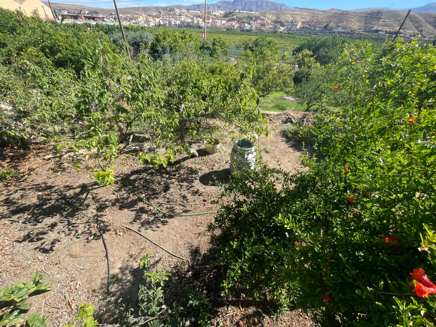 Terreno rustico in vendita a Barrio Torre Alta 18, imagen 13