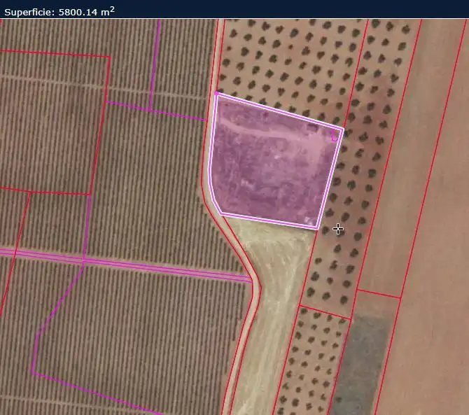 Rural land for sale in Valdepeñas, imagen 15