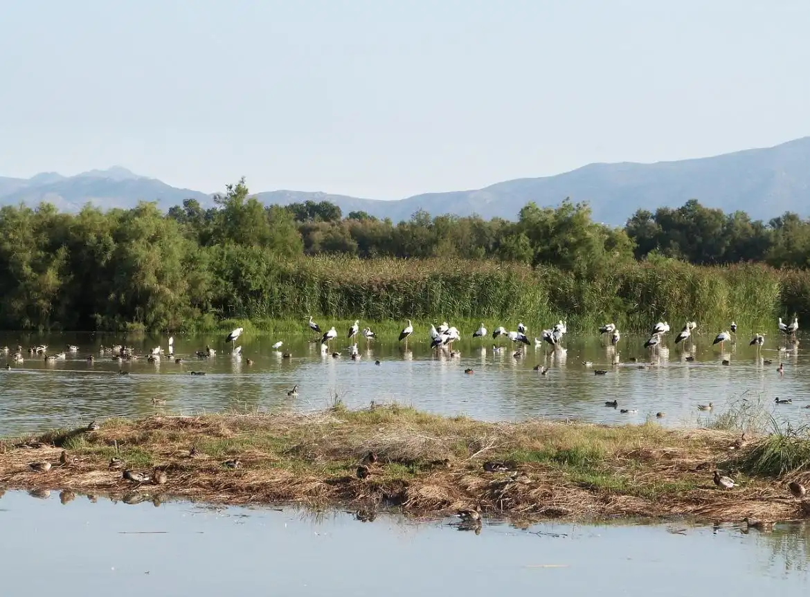Terreno rustico in vendita a Lladó, imagen 5