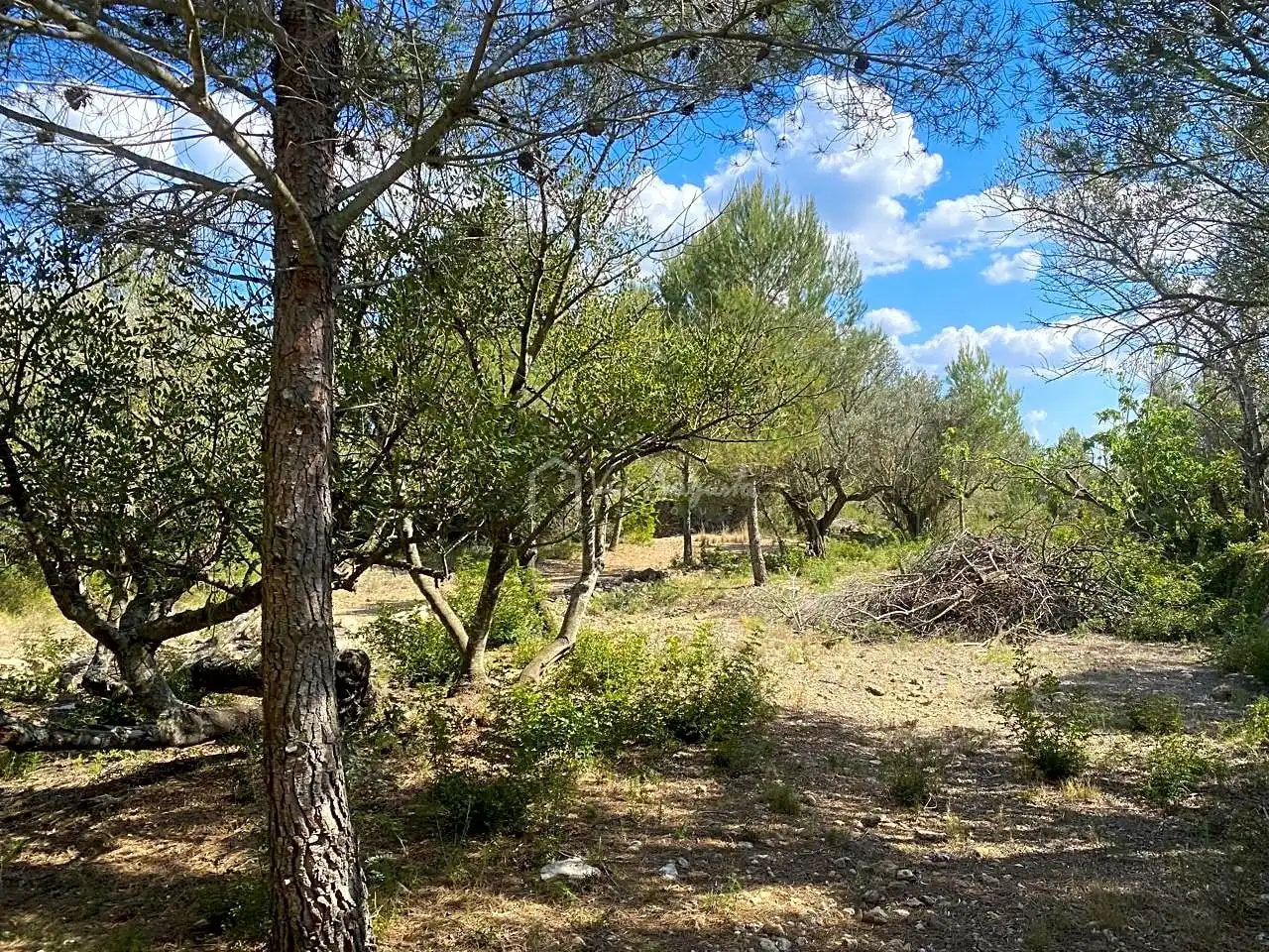Terreno rustico in vendita a Ligallo de les Bordes, imagen 6
