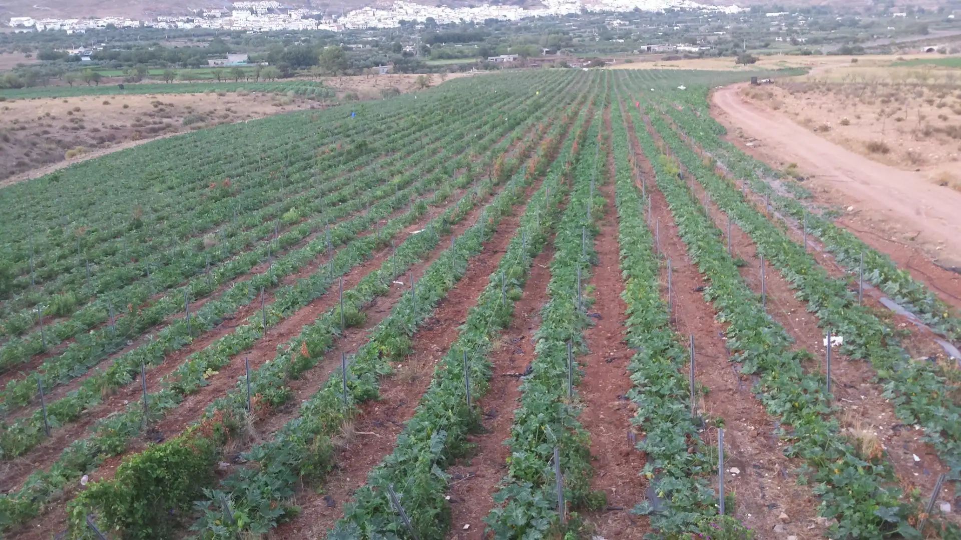 Rural land for sale in Laujar de Andarax, imagen 3
