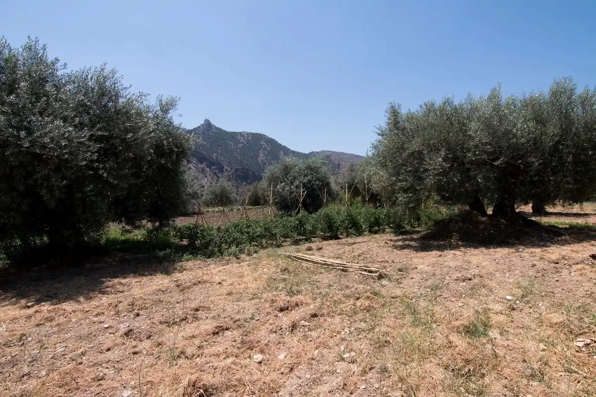 Finca rústica en venta en Güéjar Sierra con Jardín privado, Terraza y Piscina