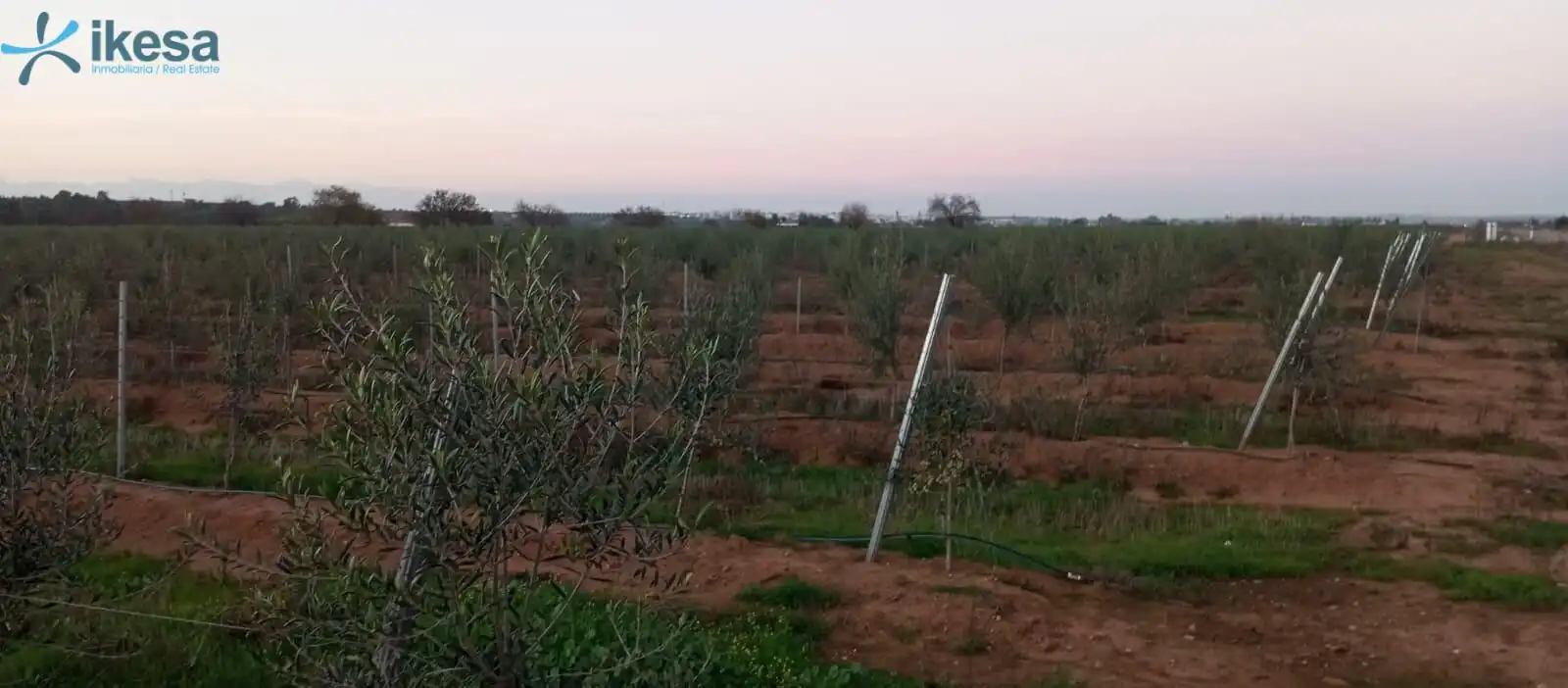 Terreni e lotti in vendita a Jerez de los Caballeros, imagen 6