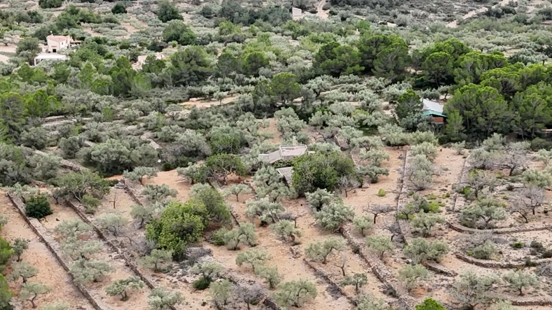 Casa rústica en venta en El Perelló, imagen 5