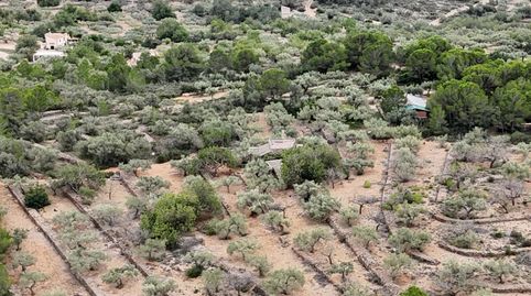 Casa Rústica en El Perelló  Un Refugio Natural con Encanto Mediterráneo, immagine 5