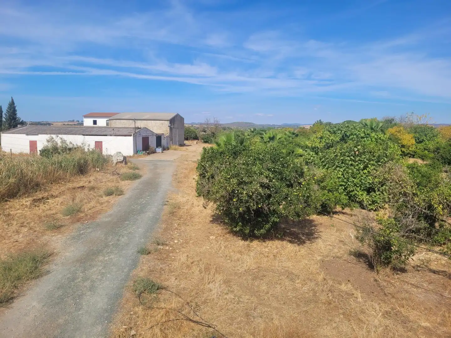 Casa o xalet en venda en Tocina