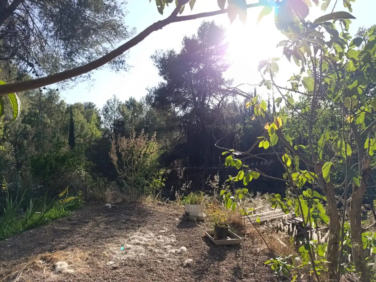 Casa rustica in vendita a Ibi, imagen 7