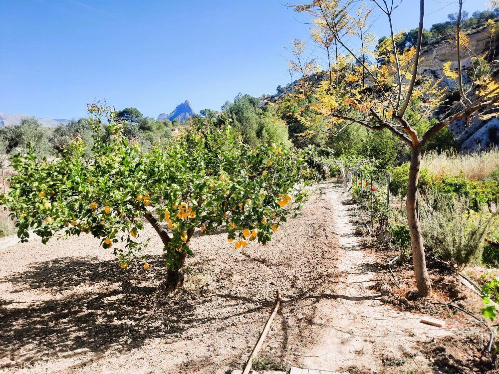 Country house for sale in Orxeta