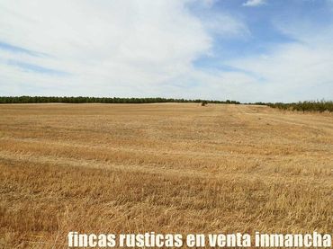 Terreno rustico in vendita a San Pablo