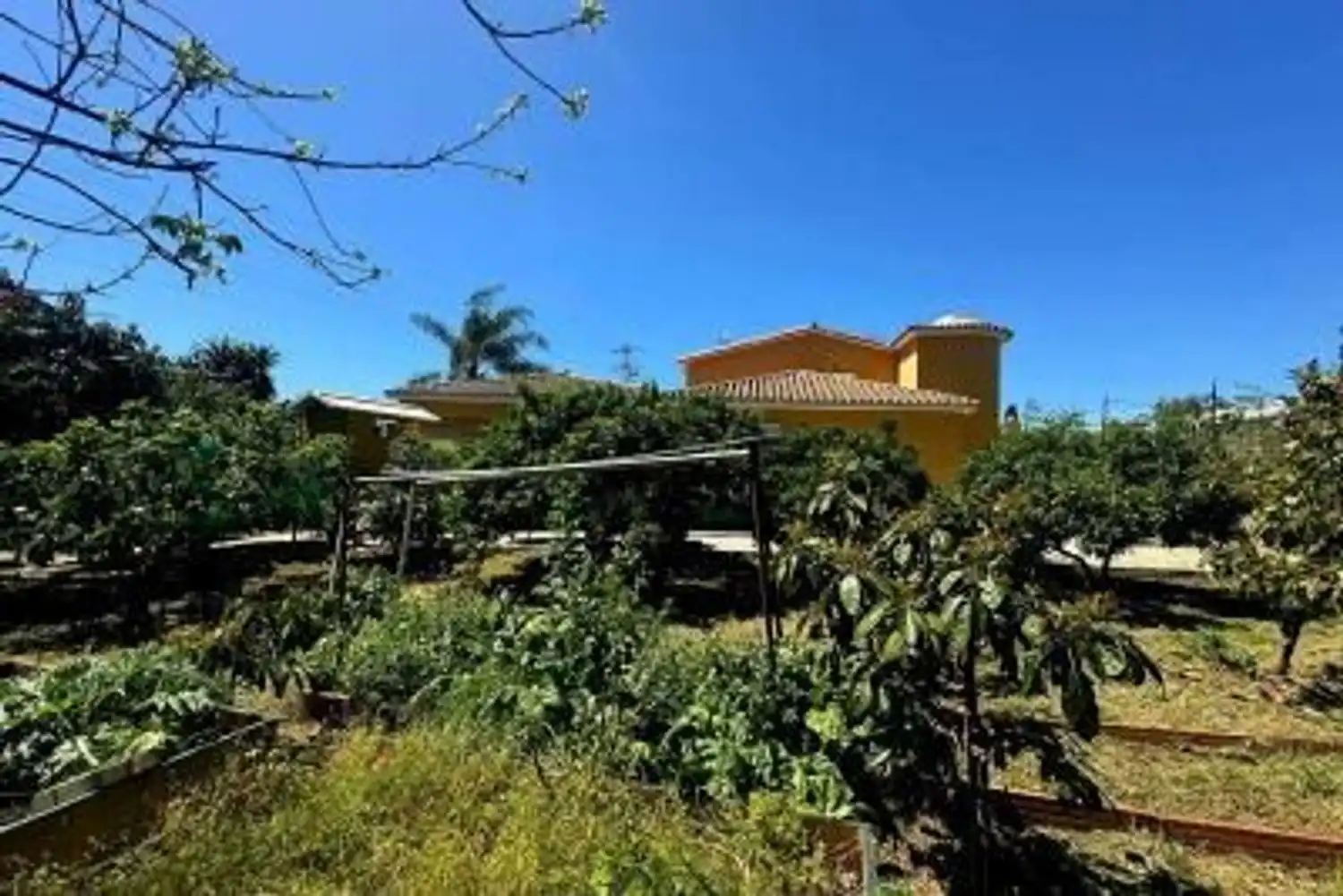 Vista exterior de Casa o chalet en venta en Marbella con Calefacción, Jardín privado y Trastero