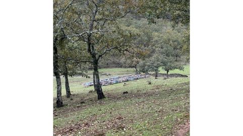 Terreno en venta en Madroñera, immagine 4