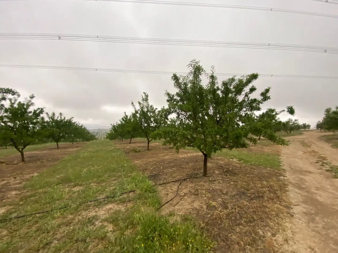 Terreni e lotti in vendita a Guadahortuna, imagen 17