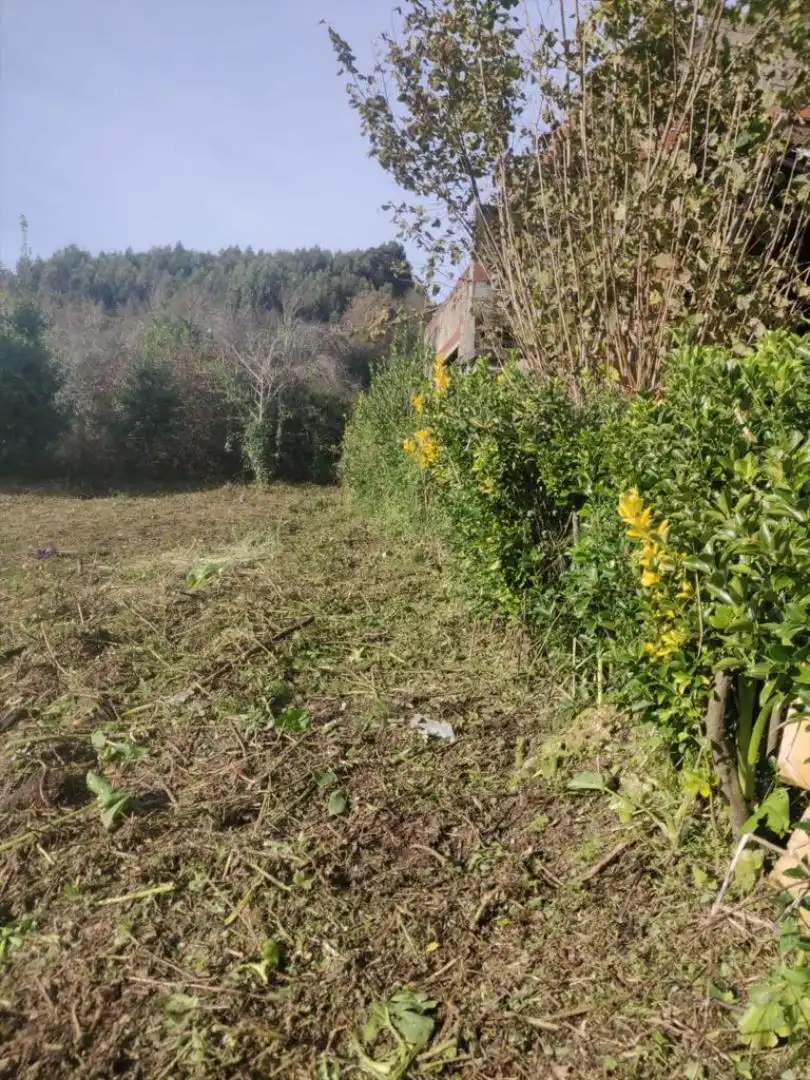 Terreni e lotti in vendita a Bárcena de Cicero, imagen 18
