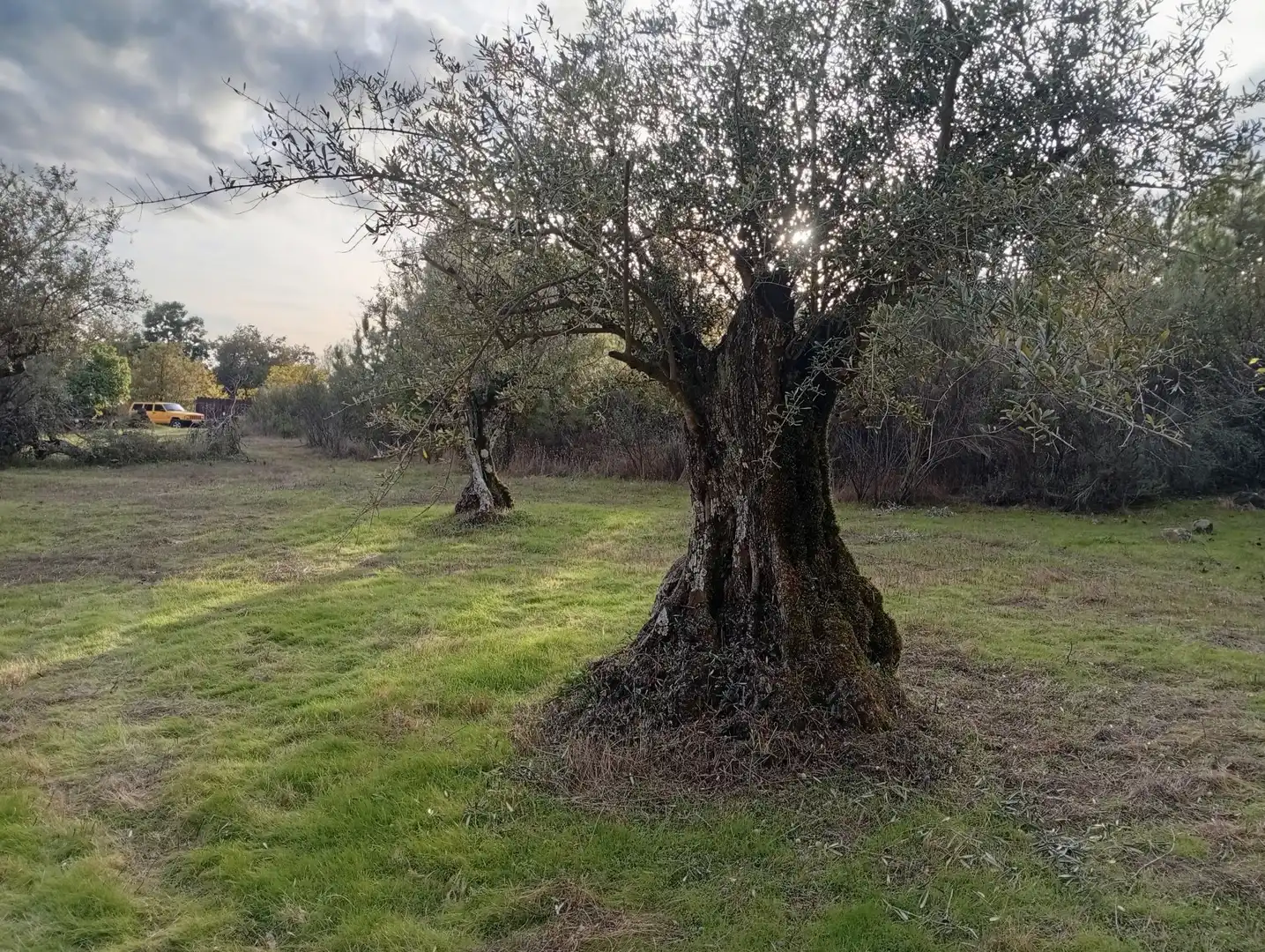 Terreni e lotti in vendita a Villanueva de la Vera, imagen 4