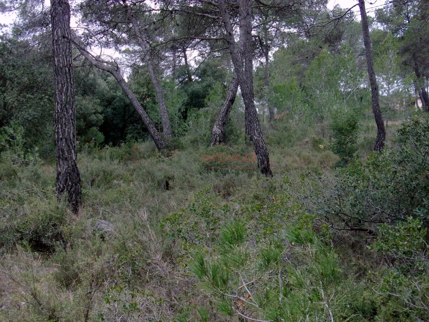 Terreni e lotti in vendita a Querol, imagen 5