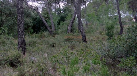 QuerolTerreno, immagine 5