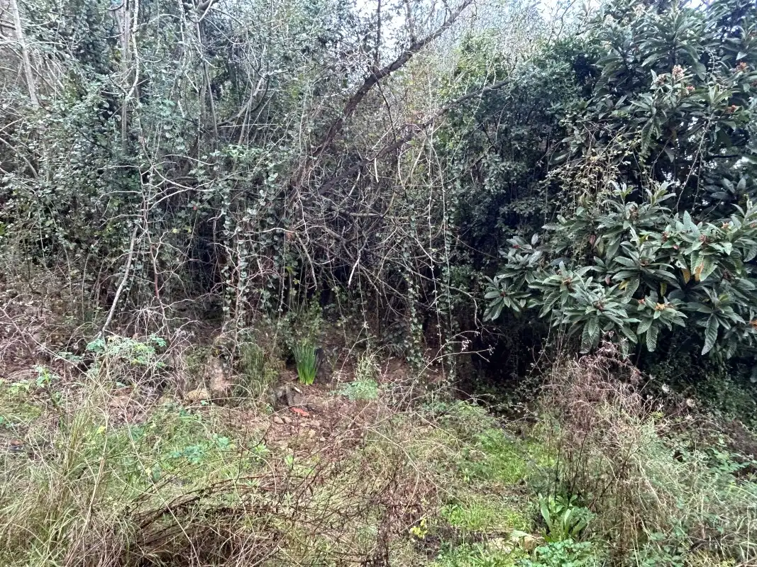 Rural land for sale in Partida Tancaes, imagen 30