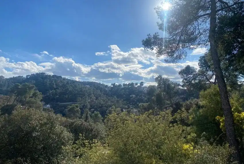 Terreno residenziale in vendita a La Floresta, imagen 7