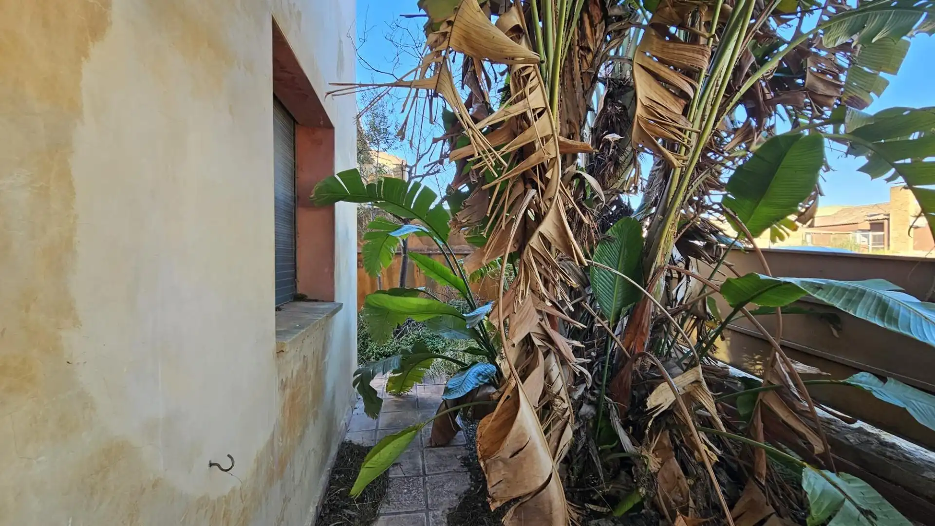 Casa amb terrassa en venda a Calle Josep Tarradelles, imagen 49