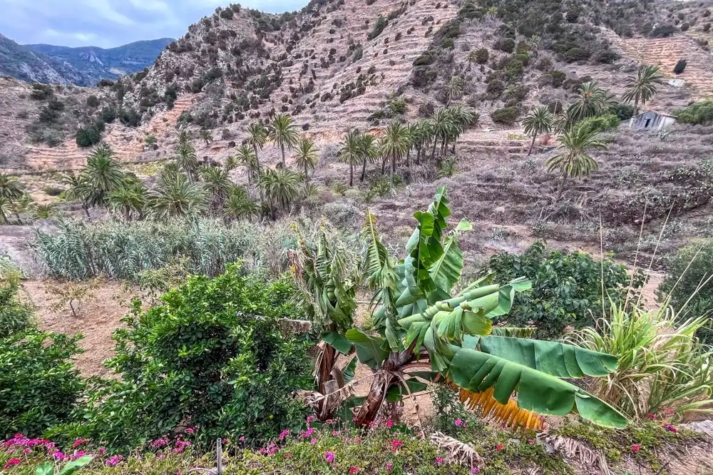 Finca rústica en venta en Vallehermoso con Amueblado