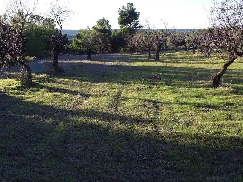 Casa rústica en venda a Torre del Compte, imagen 18