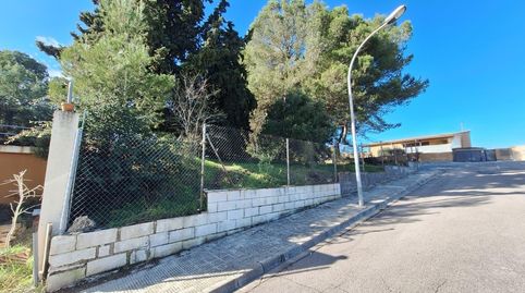 Parcella urbanitzable cantonera de 795 m2 a Sant Jaume Sesoliveres, imatge 5