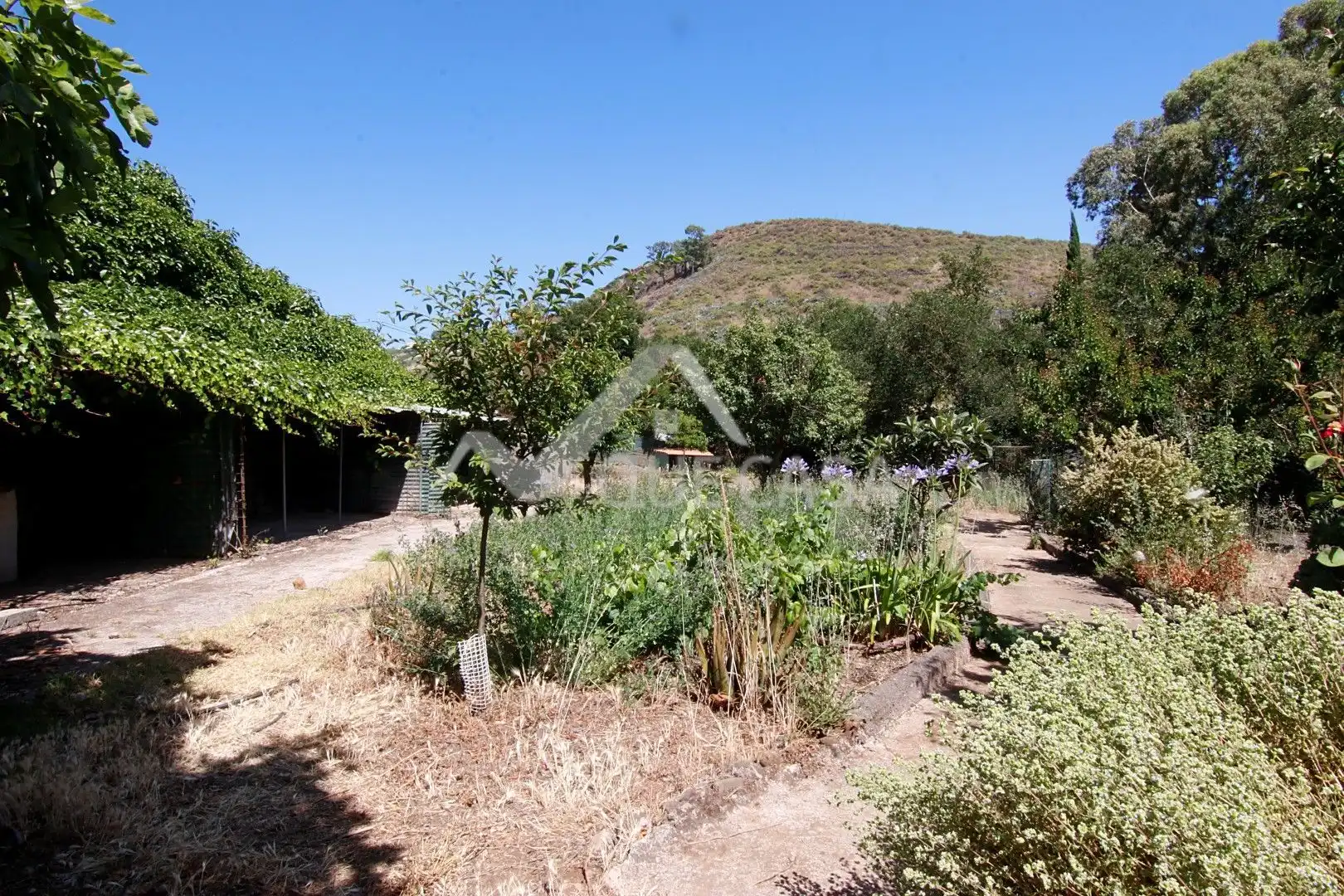 Jardín de Terreno en venta en Vega de San Mateo