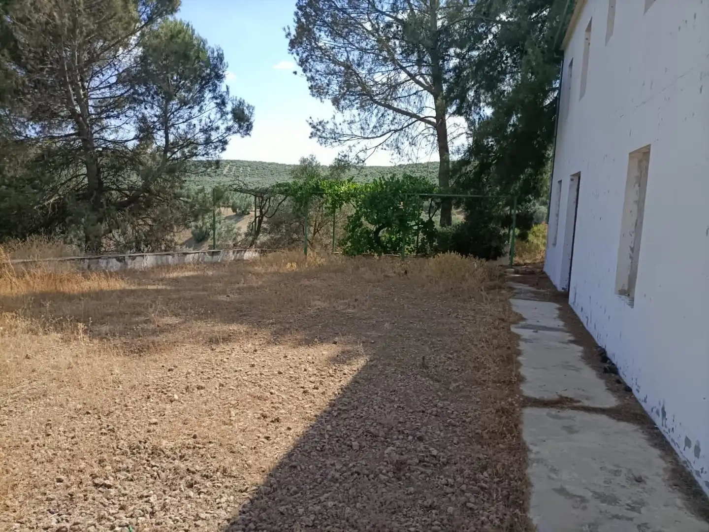 Houses for sale in Jauja