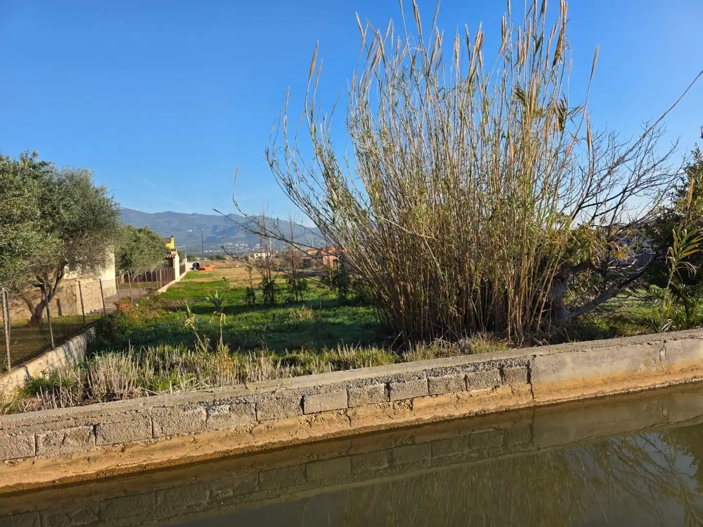 Terreny rústic en venda a de la Molinera, imagen 10