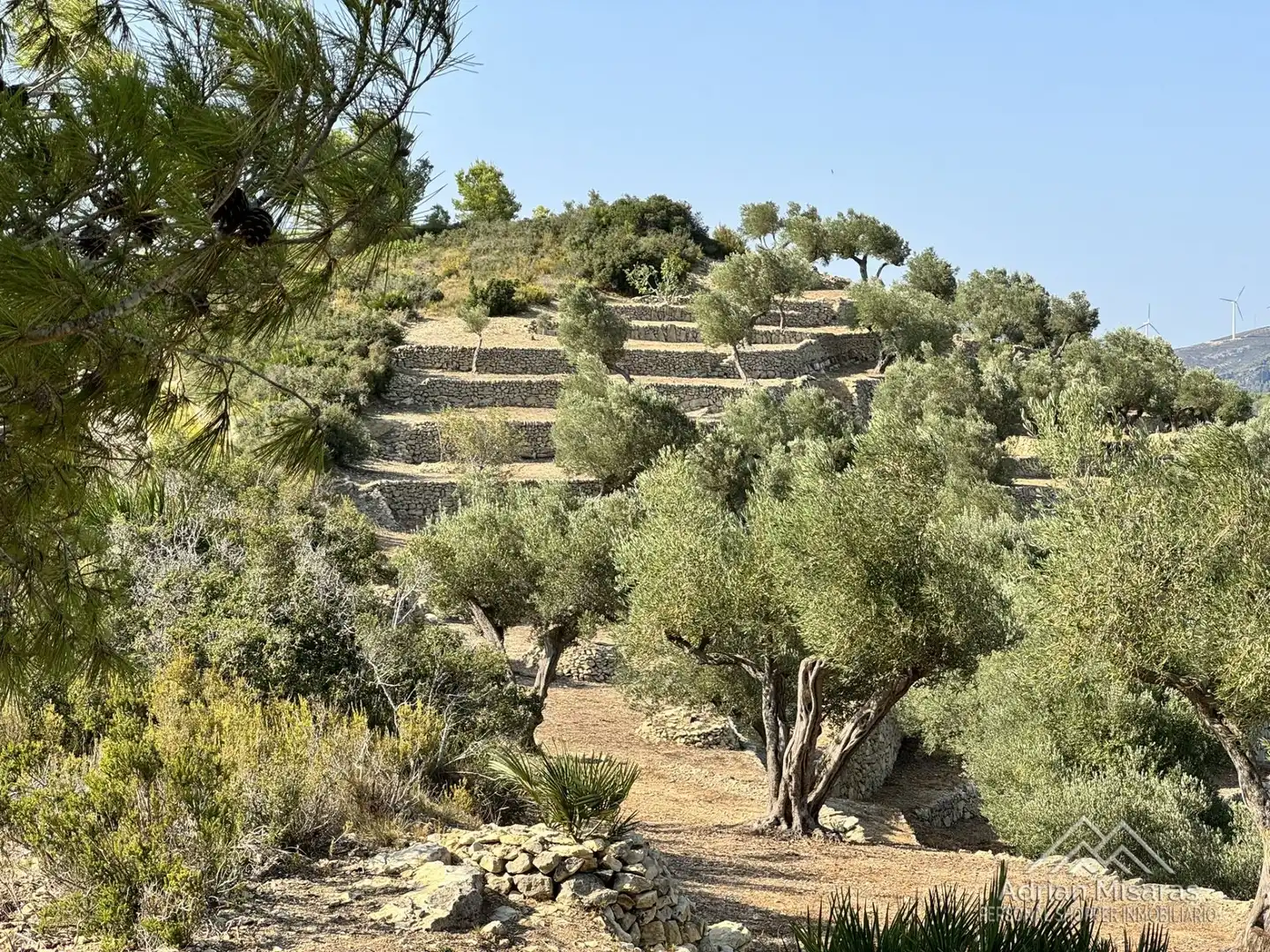Terreno en venta en Tortosa