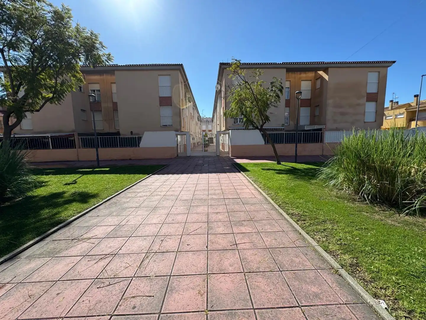 Exterior view of Detached homes for sale in Santomera